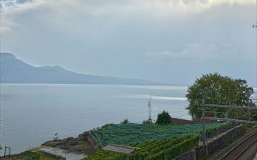 Wohnung - image - 6