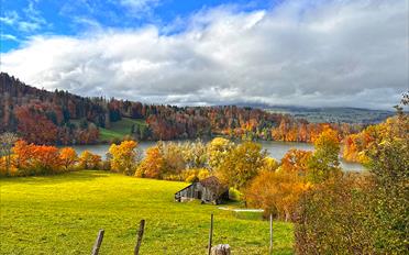 Einfamilienhaus - image - 3