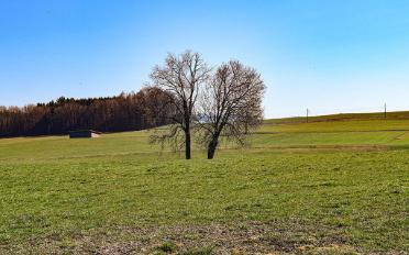 Villa 5.5 Zimmer - image - 1
