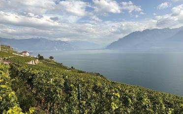 Appartement 4.5 pièces - image - 2
