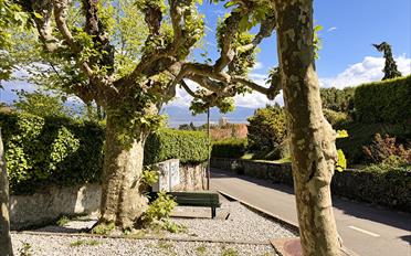 Maison 8 pièces - image - 2