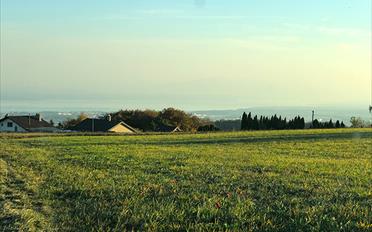 Villa - image - 3