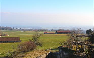 Villa - image - 1