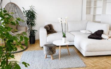 Apartment 3.5 rooms - image - 3