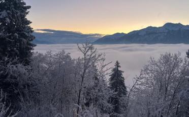 Apartment 3.5 rooms - image - 13