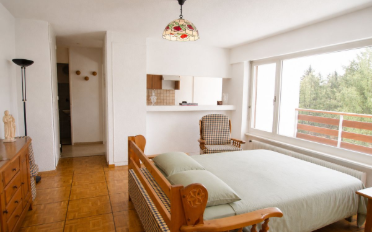 Furnished flat 2.5 rooms - image - 1