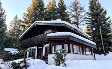 Chalet 5.5 pièces - image - 1