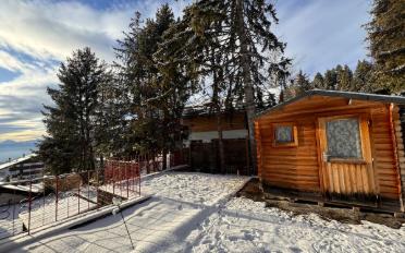 Chalet 7.5 pièces - image - 13