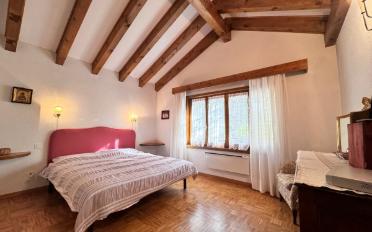 Chalet 8.5 pièces - image - 10