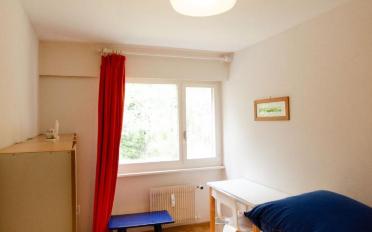 Appartement 5.5 pièces - image - 11