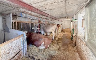 Farm house - image - 8