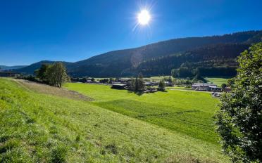 Bauland - image - 11