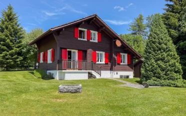Chalet 4 Zimmer - image - 2
