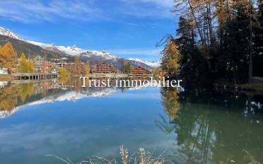 Chalet 11.5 rooms - image - 3
