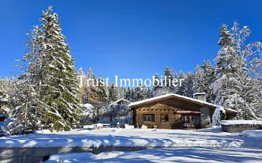 Chalet 8.5 pièces - image - 1