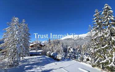 Chalet 8.5 pièces - image - 4