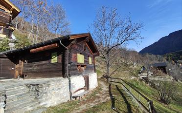 Chalet 3 Zimmer - image - 1
