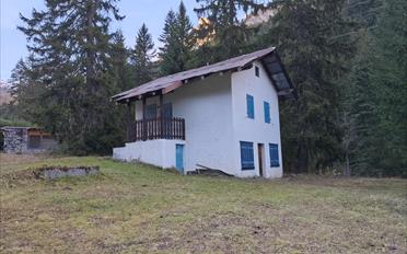 Chalet 3.5 Zimmer - image - 10