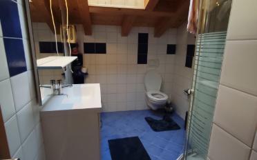 Einfamilienhaus 5.5 Zimmer - image - 8