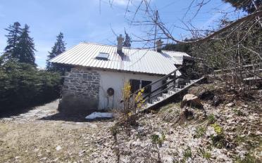 Chalet 4.5 Zimmer - image - 1
