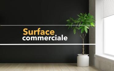 Shop - image - 1