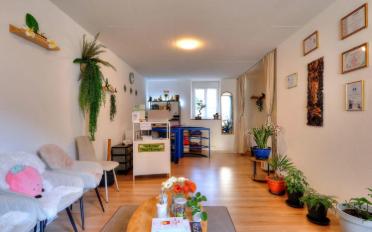 Shop 1 room - image - 3