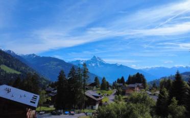 Chalet 5.5 rooms - image - 2