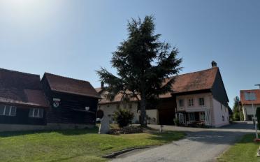 Ferme 14 pièces - image - 1