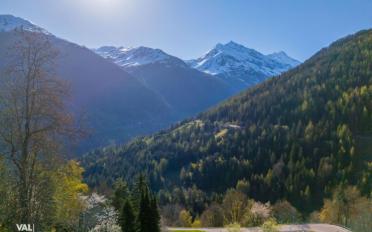 Building land - image - 6