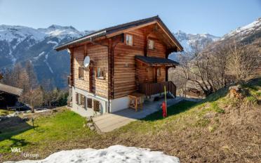 Chalet 6.5 pièces - image - 1