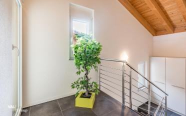 Einfamilienhaus 8.5 Zimmer - image - 10