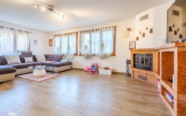 Einfamilienhaus 7 Zimmer - image - 4