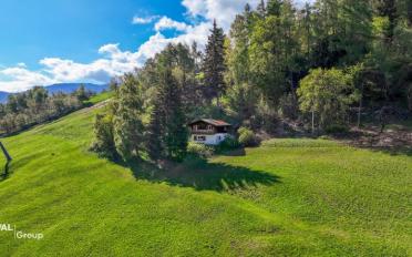 Chalet 3.5 pièces - image - 2