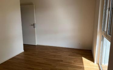 Villa 5 Zimmer - image - 6