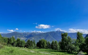 Chalet 5.5 Zimmer - image - 2