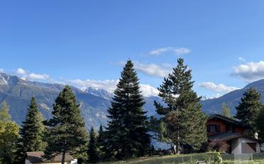 Chalet 5.5 Zimmer - image - 1