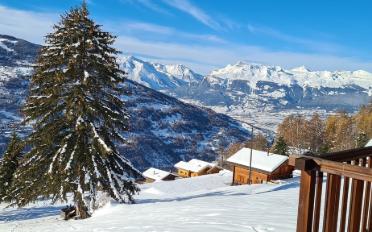 Chalet 3.5 rooms - image - 1