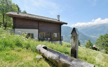 Chalet 3.5 rooms - image - 2