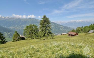 Chalet 3.5 rooms - image - 9