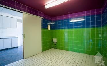 Apartment 5.5 rooms - image - 11