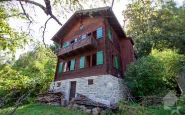 Chalet 9 Zimmer - image - 1