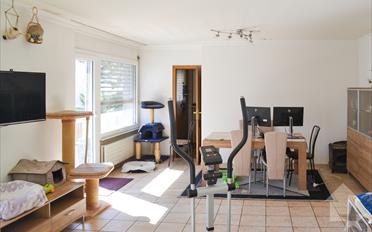Wohnung 5.5 Zimmer - image - 3