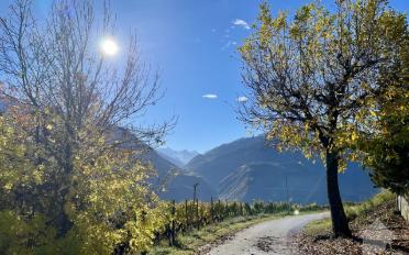 Wohngebäude 9 Zimmer - image - 7