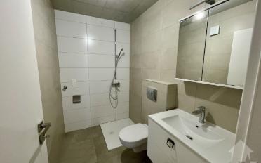 Appartement 2.5 pièces - image - 6