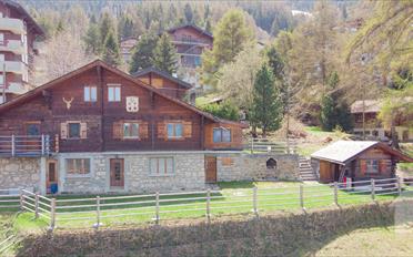 Chalet 7.5 Zimmer - image - 1