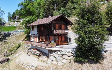 Chalet 4.5 Zimmer - image - 2