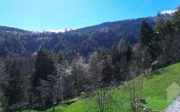 Chalet 4.5 Zimmer - image - 10