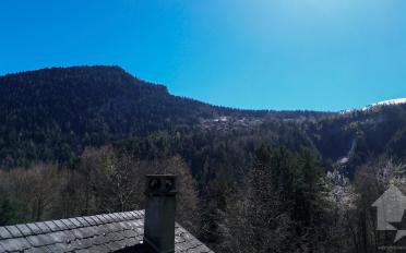 Chalet 4.5 Zimmer - image - 12