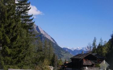 Chalet 6 Zimmer - image - 8
