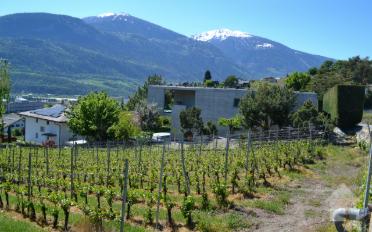 Terrain à bâtir - image - 6